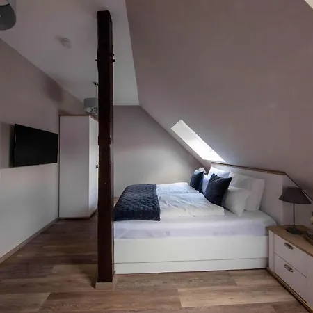 Altes Amtshaus شقة فندقية 3*
